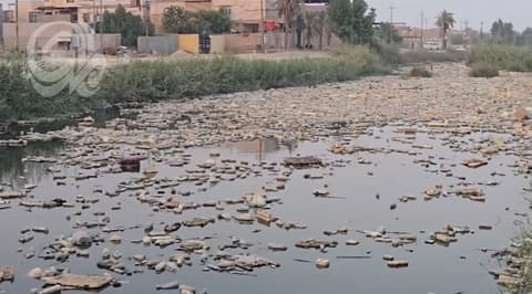 ذاكرة مائية تتحول إلى مستنقع.. الحوامد نموذج لأزمة أنهار البصرة