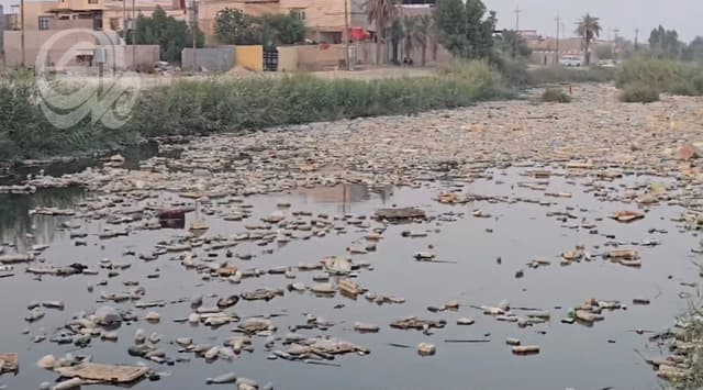 ذاكرة مائية تتحول إلى مستنقع.. الحوامد نموذج لأزمة أنهار البصرة