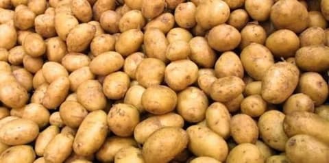 الزراعة تفتح استيراد البطاطا والطماطم والبصل وتوقف رسوماً على منتجات حيوانية