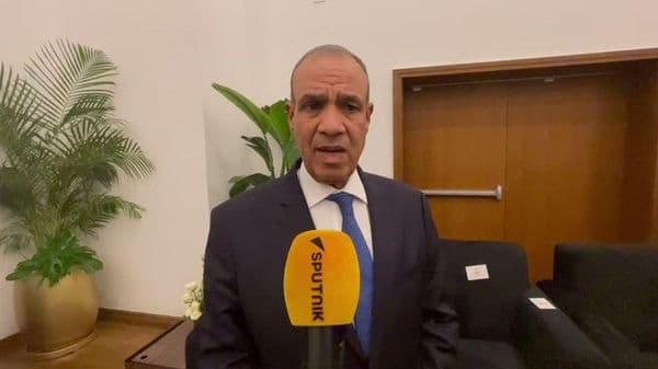 وزير الخارجية المصري يوضح لـ"سبوتنيك" هدف منتدى "العلمين أفريقيا"... فيديو