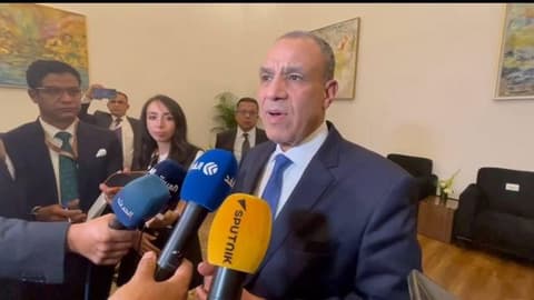 وزير الخارجية المصري: مصر لا تتدخل في شؤون الدول الأخرى ولن نكون "شماعة" لأزمات الآخرين
