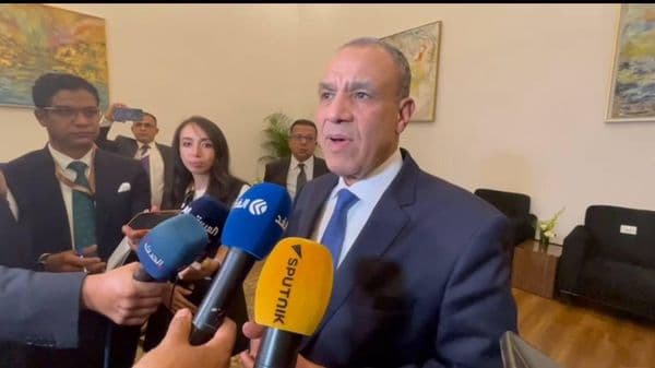 وزير الخارجية المصري: مصر لا تتدخل في شؤون الدول الأخرى ولن نكون "شماعة" لأزمات الآخرين