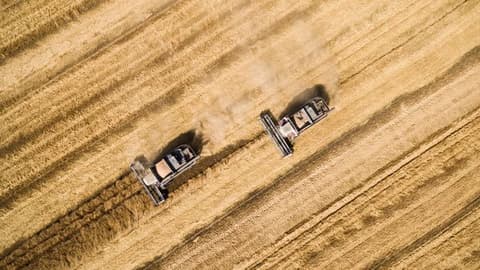 روسيا تطور أول حصادة متخصصة بجمع بذور المحاصيل لأغراض الاستنباط الزراعي