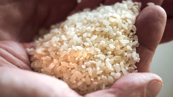 الجسيمات البلاستيكية الدقيقة قد تكون أخطر مما هو نعتقد.. علماء يكشفون السبب