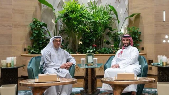 ولي العهد السعودي ونائب رئيس الإمارات يبحثان تطورات المنطقة