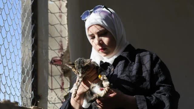 قطة غيرت حياتها.. سورية ترعى 350 حيوانا في مأوى بحمص