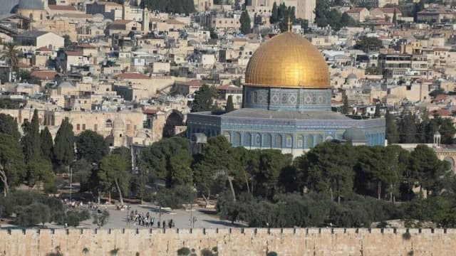 800 مستوطن إسرائيلي يقتحمون المسجد الأقصى بحراسة الشرطة