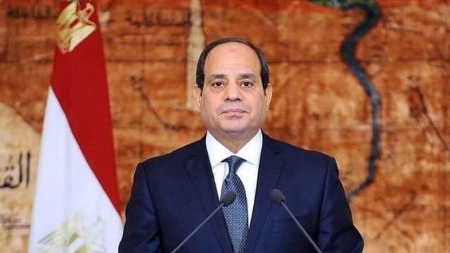 السيسي: الدستور المصري "لن يمسه أحد" وعلينا تحصين الدولة لا الرئيس