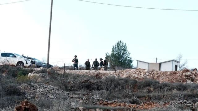 حاخام إسرائيلي يبيح سرقة زيتون الفلسطينيين بالضفة
