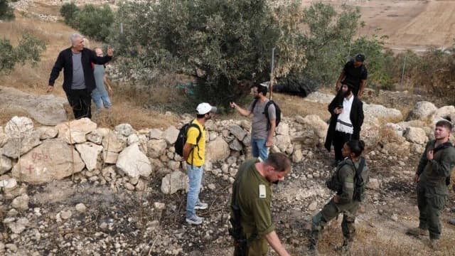 إرهاب المستوطنين بالضفة.. هجوم على قاطفي زيتون وقطع أشجار في سنجل