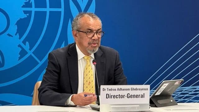الصحة العالمية تعلن وفاة أول مصاب بفيروس شاموندا في فرنسا