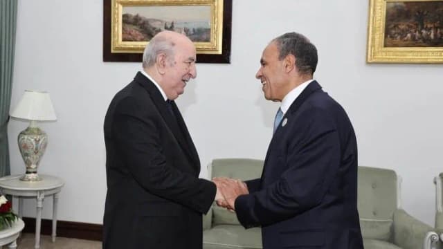 الرئيس الجزائري يستقبل وزير الخارجية المصري