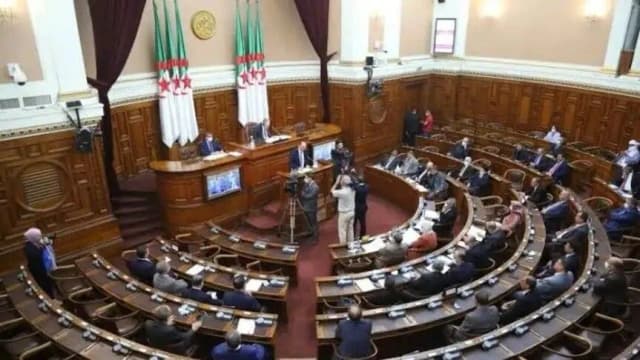 لماذا قررت الجزائر إرسال وحدة عسكرية إلى النيجر؟
