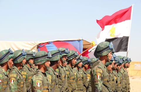 وزير الخارجية المصري: قدمنا دعما عسكريا لدول خليجية لصد "اعتداءات إيران"