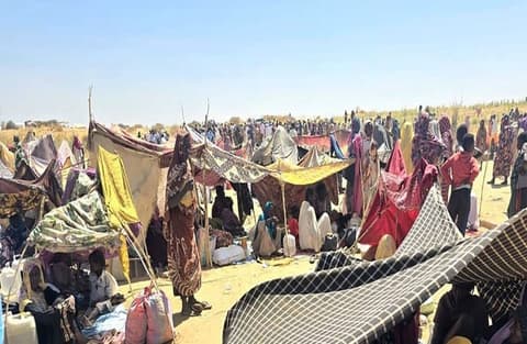 بعد مجزرة النازحين بغرب دارفور.. وزير الصحة بالإقليم يطالب بتصنيف الدعم السريع منظمة إرهابية