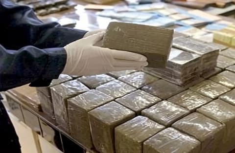 الجزائر.. الإعدام لمدانين بتهريب 114 طنا من القنب الهندي