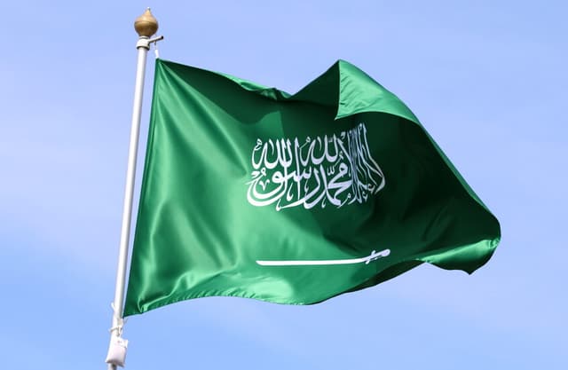 القضاء السعودي يرفض دعوى أقامها مستشار الملك ضد شركة "سينومي سنترز"