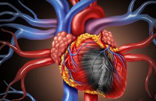 خلايا قلبية "جاهزة".. إنجاز علمي ياباني يعزز آفاق الطب التجديدي وعلاج قصور القلب
