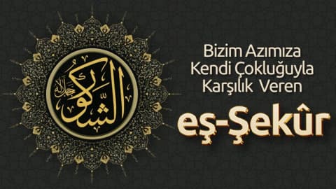 Bizim Azımıza Kendi Çokluğuyla Karşılık Veren: Eş-Şekûr