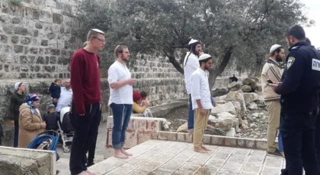 موسم الزيتون في سلفيت.. اعتداءات تطال الأشجار والمزارعين والأرض