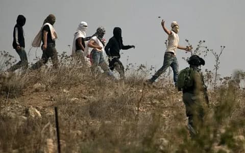 الزيتون في مرمى الاعتداءات.. مستوطنون يقطعون الأشجار ويهاجمون المزارعين