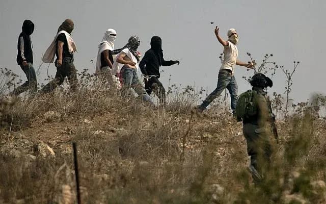 الزيتون في مرمى الاعتداءات.. مستوطنون يقطعون الأشجار ويهاجمون المزارعين