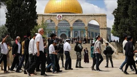 اقتحام الأقصى.. 133 مستوطناً في باحاته بحماية الاحتلال