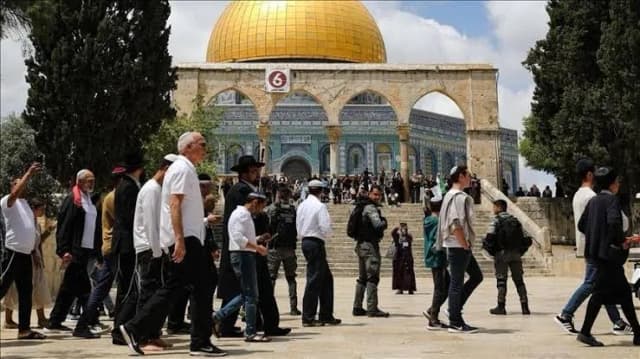 اقتحام الأقصى.. 133 مستوطناً في باحاته بحماية الاحتلال