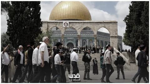 خاص| تحذيرات من خطورة استفراد الاحتلال بالأقصى وتغيير الوضع القائم