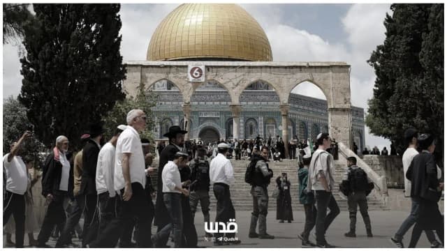 خاص| تحذيرات من خطورة استفراد الاحتلال بالأقصى وتغيير الوضع القائم