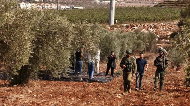 رصاص وضرب واعتداء على عمال الكهرباء.. هجمات للمستوطنين في الضفة الغربية