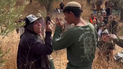 خسائر الزراعة تتجاوز مليون دولار في أسبوع.. وتضرر 2382 شجرة زيتون في الضفة