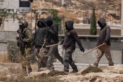 اعتداءات المستوطنين تتواصل في الضفة.. احتجاز فلسطينيين وجولات استفزازية في الأغوار