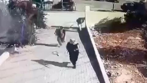 Watch: CCTV footage appears to show gunmen near church in Jordan