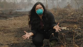 Why is a peat fire so bad? BBC is in Indonesia to find out