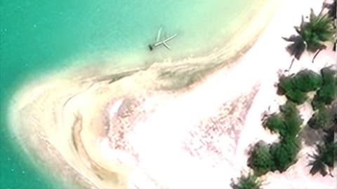 Possible wreckage of Amelia Earhart's plane likely to be trees, say researchers