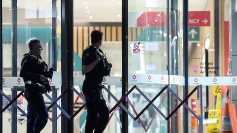 Warning signs over threats to Australian politicians were rising before MP hit by car