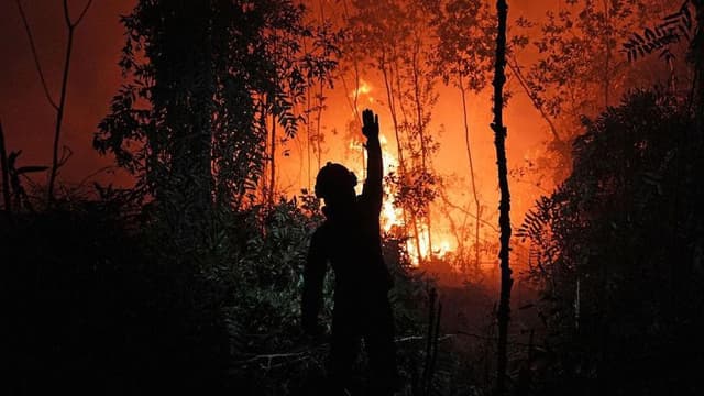Who's to blame for the toxic smog choking South East Asia?