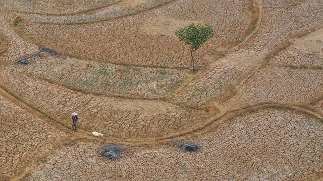 Five ways El Niño is affecting the weather around the world