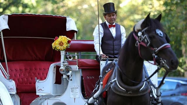 Some New Yorkers hail ban on horse-drawn carriages, but drivers fear for incomes