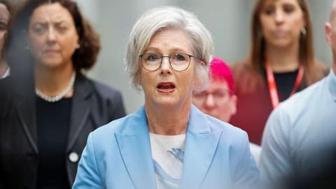 Australian MP critically injured after being hit by car in apparent attack