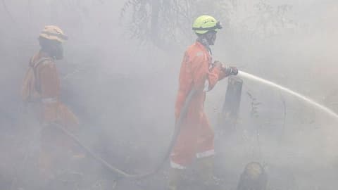 More than 170,000 respiratory cases recorded in haze-choked Indonesia