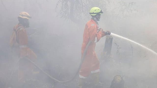 More than 170,000 respiratory cases recorded in haze-choked Indonesia