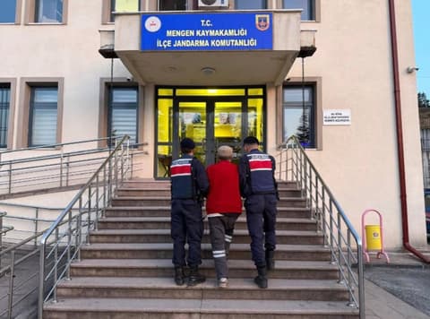 Türkiye brings back 714 fugitives from abroad since start of year