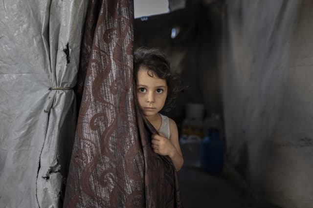 Israel's Gaza genocide death toll passes 74,000 as killings continue