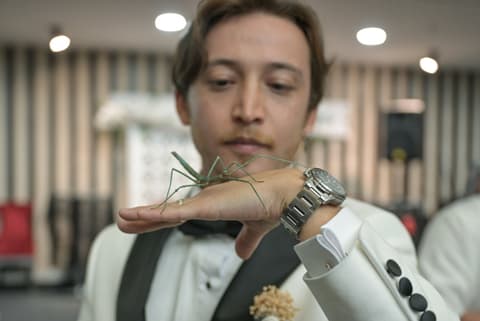 Ankara groom receives exotic animals in twist on gold tradition