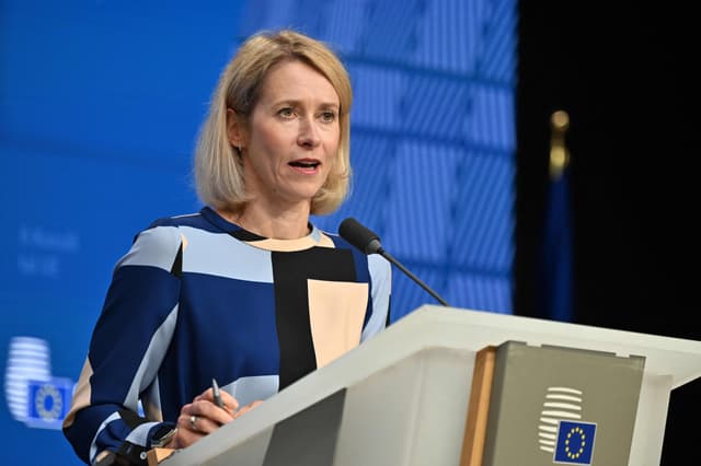 EU security protocol must complement NATO, not duplicate it: Kallas