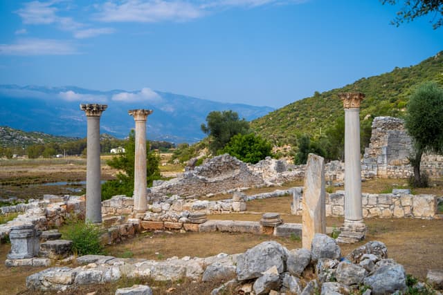 From sea snails to symbol of power: Andriake’s ancient purple dye
