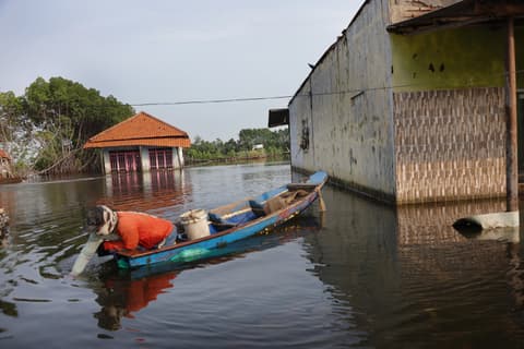 Rising seas may open new ground for invasive species: Scientists