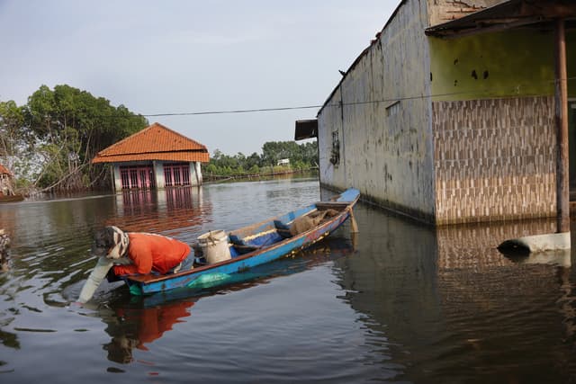 Rising seas may open new ground for invasive species: Scientists